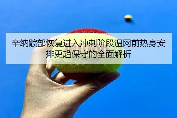 辛纳髋部恢复进入冲刺阶段温网前热身安排更趋保守的全面解析
